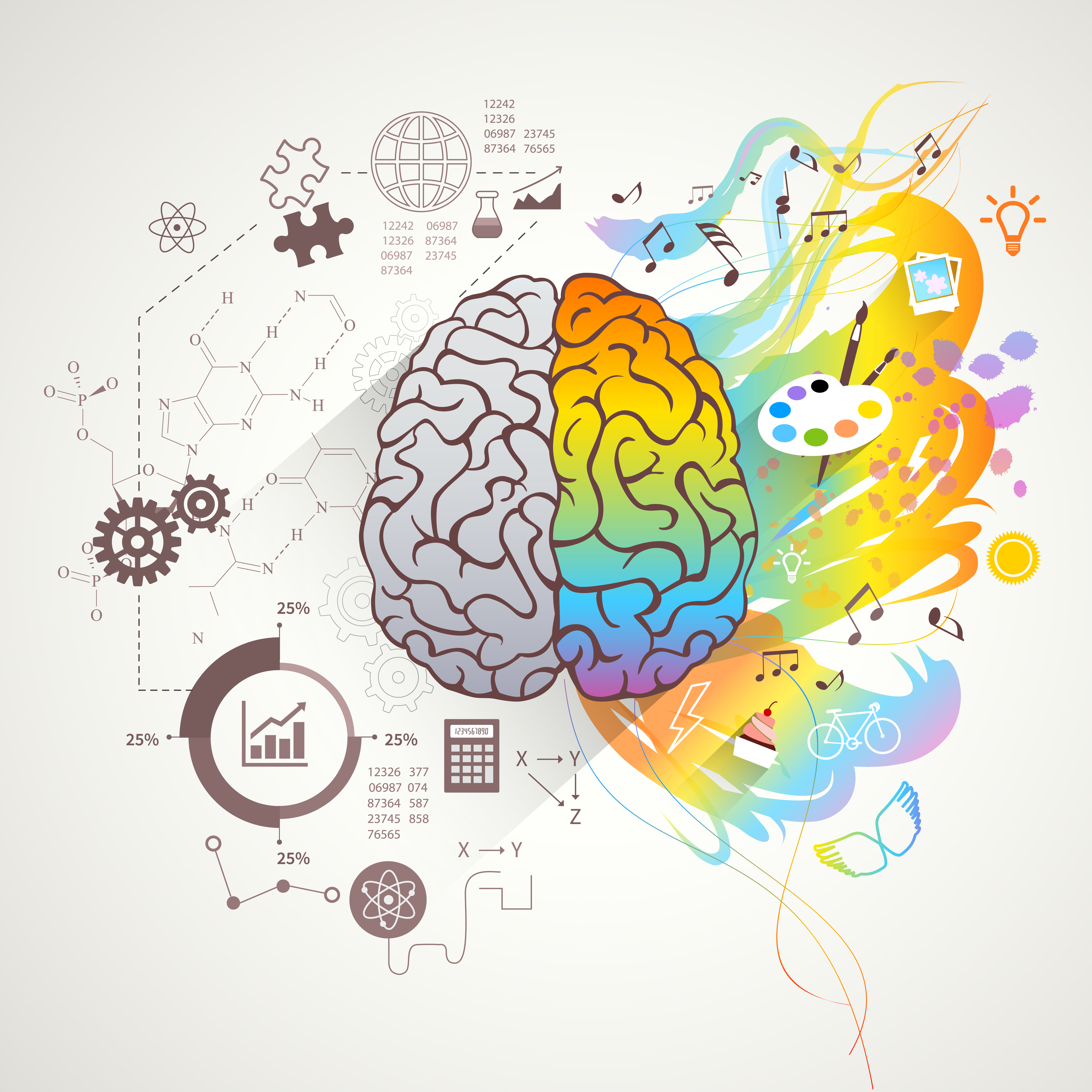 Illustration of a brain with one half shaded grey and the other half colored in a rainbow gradient.